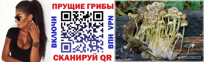 MEGA tor  Нижнеудинск  Галлюциногенные грибы мухоморы 